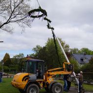 18. Maibaum 2014