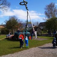 20. Maibaum 2016