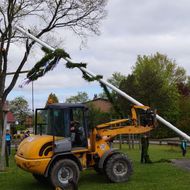 17. Maibaum 2013