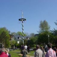 12. Maibaum 2008